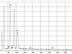 REM-Bild Chrysotil-Asbest in  Flachdichtung | © CRB Analyse Service GmbH
